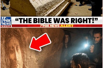 Recent Archaeological Discoveries Beneath the Church of the Holy Sepulchre: Implications for Historical and Biblical Scholarship