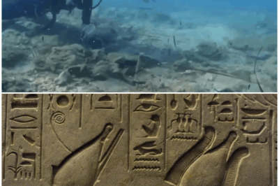 🌊 Unearthing the Past: Salvage Divers Discover Pharaoh’s Lost Army Beneath the Red Sea—A Revelation That Could Rewrite History! 🏺🔍