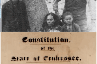 “The Melungeon Genetic Enigma: Revealing DNA Secrets That Could Rewrite American History! 🔍”