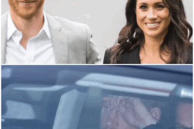 🚨 Harry & Meghan FINALLY OVER? EXPLOSIVE New York Fight Caught on Camera—The Shocking Truth Unfolds! 🎥💔