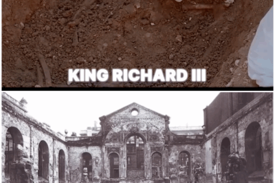“The Shocking Discovery of Richard III’s Bloodline: What DNA Reveals About England’s Royal Lie! 👑🔍”