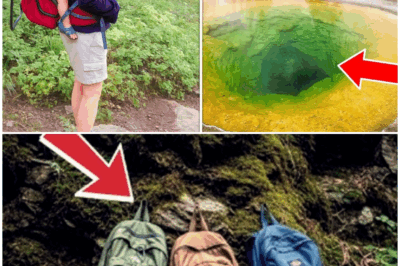 🌋🔥 SHOCKING REVELATION IN THE ROCKIES: The Mother, The Child… and the Ranger Who Vanished Into the Trees 😱🌲