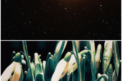 🌌 How an Asteroid Barrage Shaped Life on Earth: The Shocking Truth Behind Our Planet’s Origins! 🌍💥