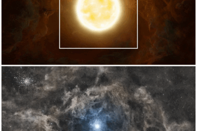 🌟 “Polaris: The North Star That Defies Our Understanding and Challenges Cosmic Models!” 🔭✨