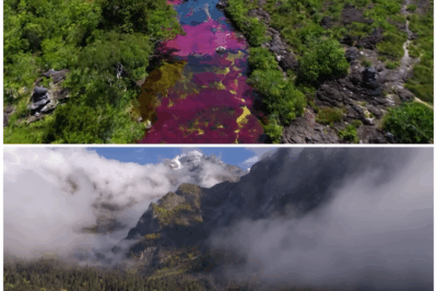 This River Will Kill You in 10 Seconds: The Most Dangerous Waterways on Earth! 🌊💀