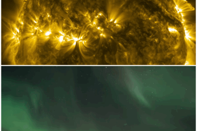 ☀️ The Sun: A Hidden Danger Looming Over Us! 🌌 What You Need to Know! ⚠️