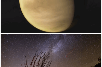 🌌 Venus Unveiled: The Shocking Truth About Our Sister Planet’s Hidden Secrets! 🔍🌋