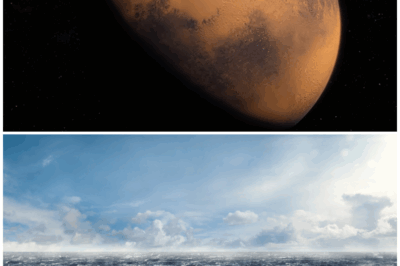 🌊 Mars’s Hidden Oceans: Zhurong’s Astonishing Discovery That Could Change Everything! 🚀🔍