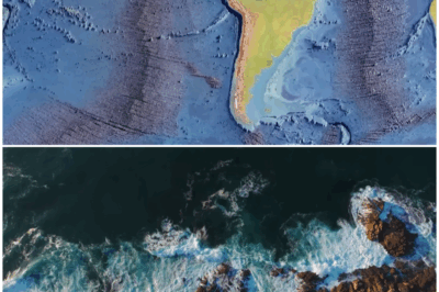 🌍 “The Hidden Continents Beneath Our Oceans: Unveiling Earth’s Forgotten Lands!” 🌊