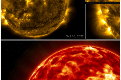 The Sound of the Sun: What Would It Be Like?