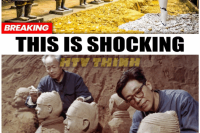 🦊 AI STUNS THE WORLD: TERRACOTTA ARMY SCANNED IN UNPRECEDENTED DETAIL — DISCOVERIES COULD COMPLETELY REWRITE CHINA’S ANCIENT HISTORY! 🏺🤯