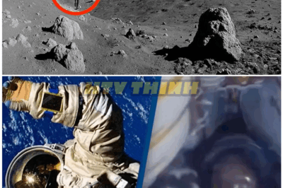 🦊 NASA NIGHTMARES REVEALED: Astronauts Spill Bone-Chilling Secrets That Will Make You Question Everything About Space Travel 🚀😱