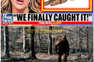 🦊 BREAKING: “Out Of This World” Discovery Leaves Officials Scrambling After Lone Hiker Records the Unexplainable 👁️‍🗨️🔥