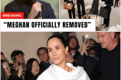 Dior’s Bold Move to Block Meghan Markle: Unraveling the Shocking Stolen Dress Scandal That Shook the Fashion World and Royalty to Its Core!