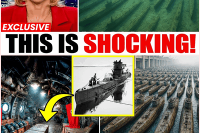 The Chilling Secrets of Nazi Submarines: What They Found Inside Will Haunt You!