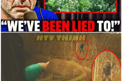 🦊 “WE CAUGHT IT!” Drone Captures the Terrifying Secret Inside Bigfoot’s Cave—What It Found Will Leave You Breathless and Shaking 🌲😱