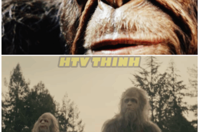 🦊 “The ULTIMATE Bigfoot Encounter Collection Is Here — The Terrifying, Unfiltered Footage Stirring Panic, Awe, and Wild New Conspiracy Theories Across the Globe 👣”