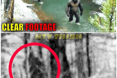 🦊 “Top 13 CREEPIEST Bigfoot Videos of 2025 — The Spine-Chilling Footage So Disturbing Even Experts Refuse to Explain It 👣”