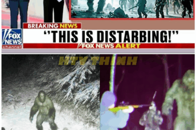 🦊 Elite Special-Ops Chase Turns Into Terror as Unit Claims They Cornered a Massive Forest Creature in Alaska—Then Witnessed Something So Unthinkable It Triggered an Immediate Blackout 🌑