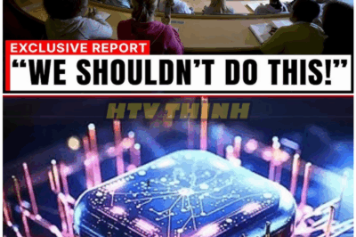 🦊 Google’s Top-Secret Quantum Lab Just Erased Reality Itself – Scientists Freak Out Over Mind-Blowing Discovery That Could Change Everything Forever ⚡