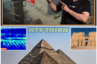 🦊 EGYPT SHOCKER: THE GREATEST MYSTERY OF THE PYRAMIDS FINALLY UNDER SCRUTINY — NEW EVIDENCE REVEALS SHOCKING POSSIBILITIES ABOUT WHO REALLY BUILT THEM! 🏺⚡