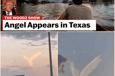 The Recent Angelic Apparition Over Houston: Analyzing the Intersection of Modern Phenomena and Biblical Prophecies