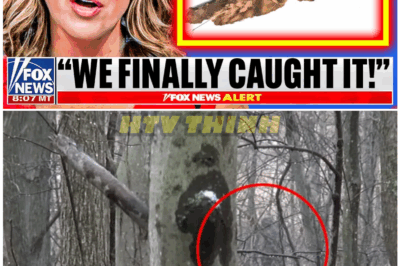 🦊 “Hiker’s Innocent Walk Turns Into a Terrifying Encounter as Ohio Forest Footage Reveals a Shape So Disturbing Experts Are Calling It Beyond Earthly Explanation” 👁️