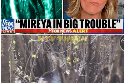 🦊 “Mireya Mayor’s Expedition Spirals Into Chaos as Four Unidentified Creatures Surround Her in the Dark—The Terrifying Encounter That Left the Team Stunned and Her Shaken to the Core” 🌑