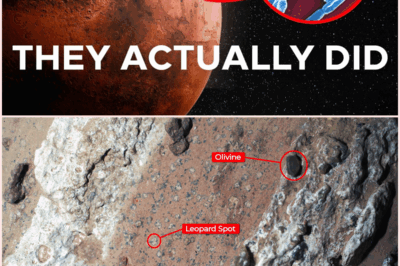 NASA Probably Just Found Life on Mars: A Groundbreaking Discovery