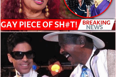 Chaka Khan Reveals Prince’s Hidden Love Life: The 8 Secret Gay Singers He Dated!