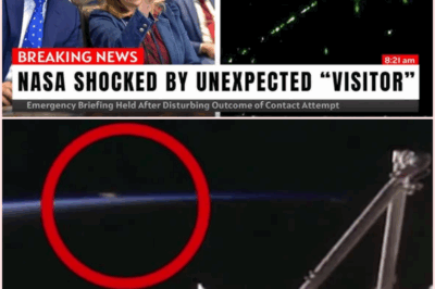 NASA’s Bizarre Live Feed Cut: What Did They Really See?