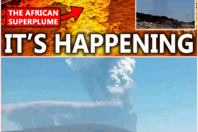 The Awakening of the African Superplume: Hayli Gubbi Volcano Erupts After 10,000 Years