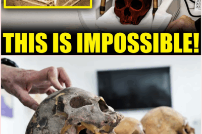 The Windover Bog: Unearthing the Terrifying Secrets of an 8,000-Year-Old Skull