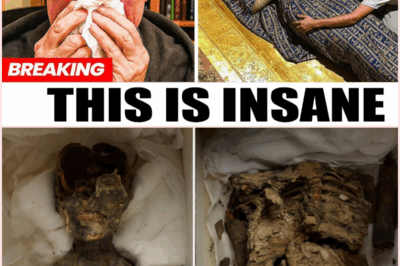 The Chilling Legacy of Queen Nefertiti: Unraveling the DNA and Historical Mysteries