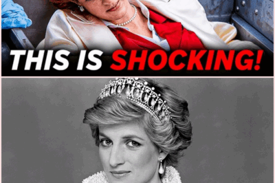 27 Years Later: The Shocking Truth Behind Princess Diana’s Tomb Revealed!