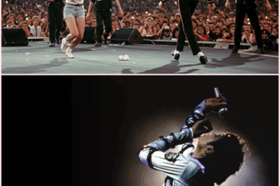 The Night Michael Jackson Turned a Stage Invasion into a Heartwarming Moment: How One Fan’s Impulse Brought 72,000 People to Tears at Wembley Stadium!