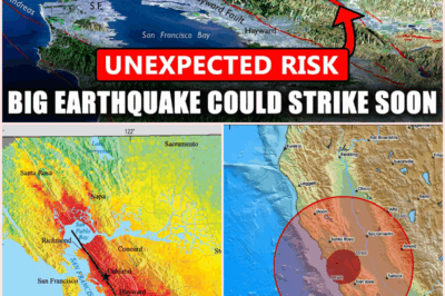 Rising Earthquake Risk in the San Francisco Bay Area: Analyzing Recent Seismic Activity