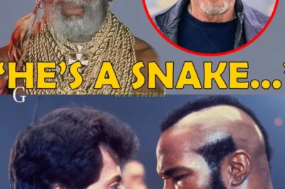 Mr. T’s Most Intense Feuds Exposed — ‘I Hated Them More Than Anyone!’
