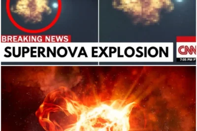 “Cosmic Catastrophe: Betelgeuse Supernova Captured by Webb Telescope—What Happens Next Will Shock You 😱🌟”
