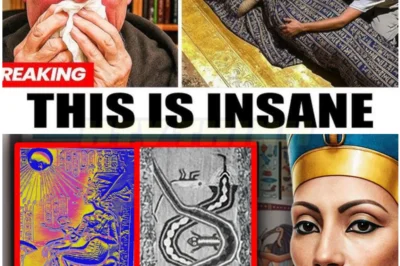 “The Dark Side of Nefertiti: Murder, Betrayal, and Shocking Secrets Hidden in Her Royal Lineage 😳💥”