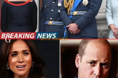The Royal Battle Heats Up: Meghan Markle Declares War as Prince William Quietly Lays the Groundwork for Title Review