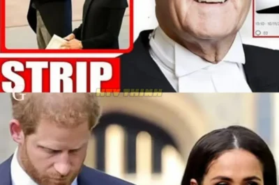 Meghan and Harry’s Shocking Fall — ‘They Played the Game Their Way, Now They’re Learning the Price’