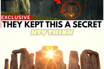 🦊 “Stonehenge Secrets Finally Exposed—Archaeologists Reveal Shocking Discoveries That Could Rewrite the Story of Human Civilization Forever” 🏺