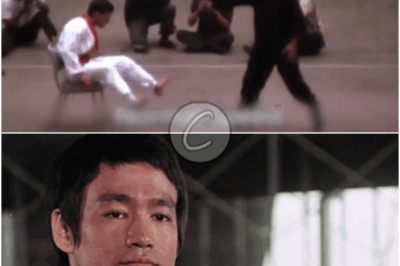 𝓑𝓻𝓮𝓪𝓴𝓲𝓷𝓰 𝓕𝓲𝓰𝓱𝓽