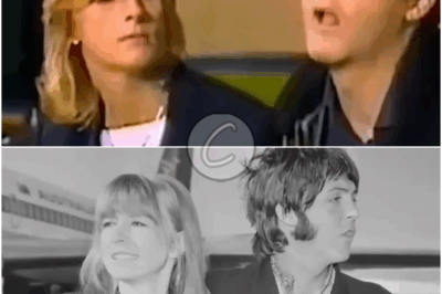 𝕾𝖊𝖆𝖙𝖊𝖉 𝕲𝖗𝖚𝖉𝖌𝖊