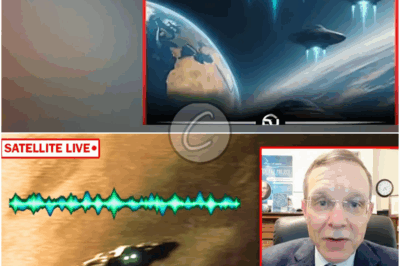 𝒟ℯ𝒸ℴ𝒹ℯ𝒹 𝒯𝒽ℯ𝓂