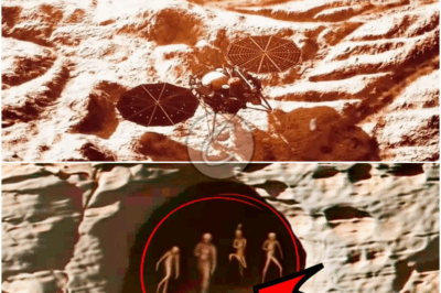 𝒰𝒩𝒦𝒩𝒪𝒲𝒩 𝒞ℛℰ𝒜𝒯𝒰ℛℰ