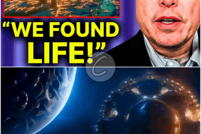 𝒫𝓇ℴ𝓍𝒾𝓂𝒶 ℬ!