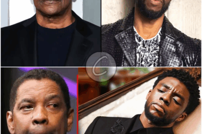 𝐃𝐫𝐨𝐩𝐬 𝐁𝐎𝐌𝐁𝐒𝐇𝐄𝐋𝐋