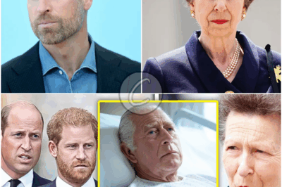 𝕱𝕴𝕹𝕬𝕷 𝖂𝖎𝖘𝖍